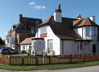 Conifers, Chichester, West Sussex