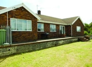 The Paddocks, Swansea, Swansea