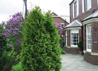 The Grange Nursing Home, Morpeth, Northumberland