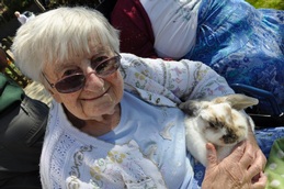 Resident Marcia Page cradles Primrose, a dwarf lop rabbit, in the garden at Belmore Lodge