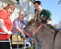 Mary Malcolm, centre, says hello to Sebastian the donkey in the garden at Belmore Lodge. Looking on are Colten Care Activities Organiser Jackie Fergusson and Tom Main of Mill Cottage Farm Experience
