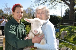 Belmore Lodge resident Joan Connolly holds Larry the lamb. With her is Hollie Joseph from Mill Cottage Farm Experience