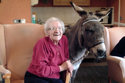 Pet nursing sales home