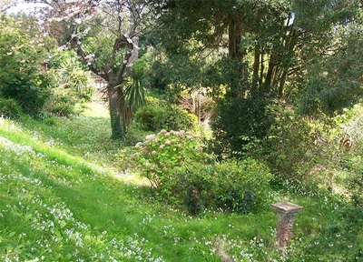 This will become the sensory garden area – imagine a pathway for wheelchair access and some beautiful garden features.