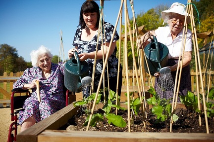 carebase.org.uk
