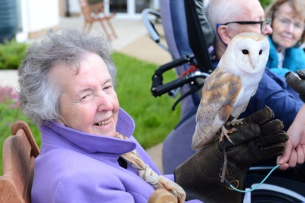 Residents at Sandfields meeting an owl