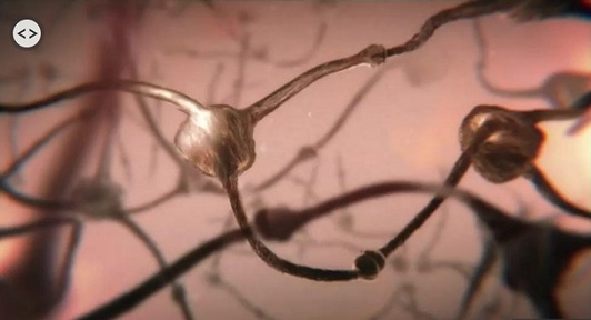 iWonder animation allows the audience to see an individual brain cell deteriorating with Alzheimer’s