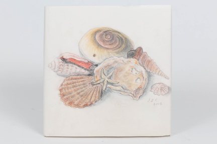 June Pallant's shell picture