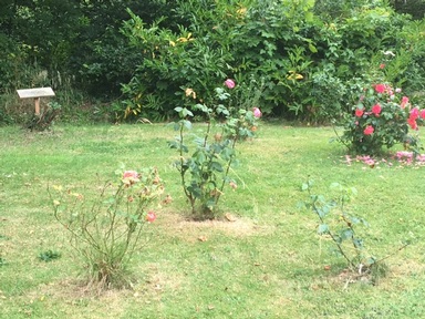 The Donnington Care Home's 'Memorial Rose Garden'