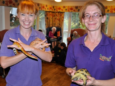 Remi the American cornsnake and Vincent the Russian tortoise