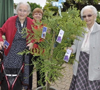 L-R: At Kingfishers care home, resident Brenda Feist with staff member Sue Hawkins and resident  Dorothy Sage tied messages to a Japanese cypress conifer