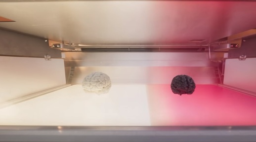Fillm shows 3D printer create healthy brain (white) and smaller brain with dementia  (black). Credit:  Alzheimer's Research UK
