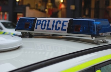 DC Robertson of Northumbria Police described the crime as 'despicable'   . Credit: Shutterstock.
