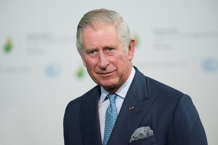 Prince Charles hosted the social prescribing event at Clarence House. Credit: Frederic Legrand -COMEO/ Shutterstock