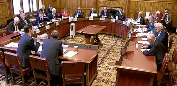 House of Lords Economic Affairs Committee meeting on 30 April.  Credit: Parliament TV