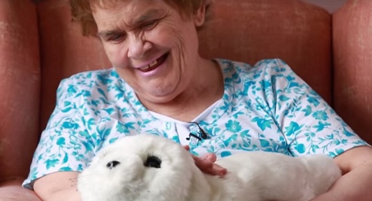PARO the seal. Credit: Dementia Australia