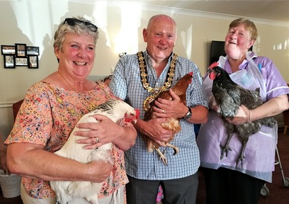 |The chickens meet the local mayors. Credit: Hill Care