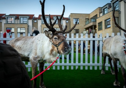 Reindeers came with a Christmas market to Cramond Residence care home. Credit: Cramond Residence