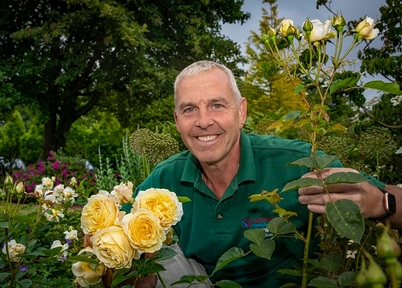 Pendine Park's head gardener Andrew Jones with John Ystumllyn rose. Credit: Pendine Park