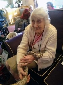 Rehabilitation Pools and Animal Therapy