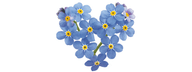 Forget me not Residential Home logo