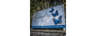 Butterfly House