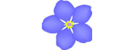 Safe Harbour Dementia Care Home Bebington logo