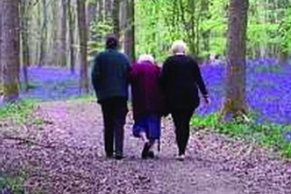 Bramley House Residential Home, Dorking, Surrey