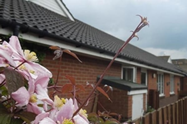 Kittens Lane, 5 Kittens Lane