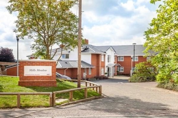 Mills Meadow, Fore Street