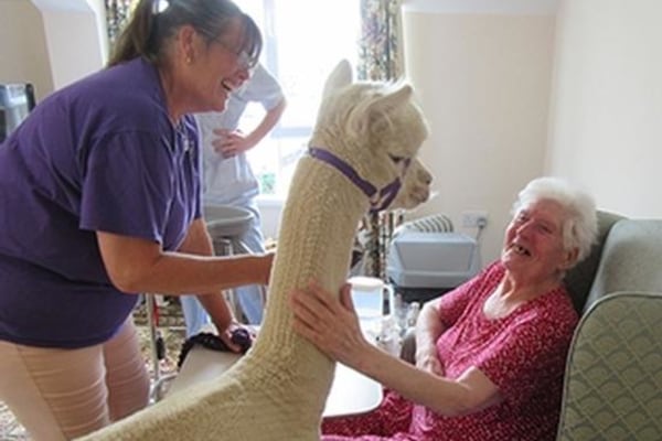 Cheverells Care Ltd, Limers Lane