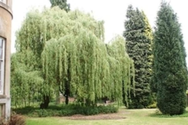 Areley House Care Home, Stourport-on-Severn, Worcestershire
