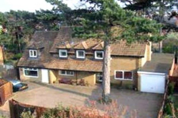 Pinetrees, The Avenue