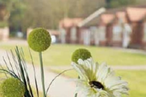 Meadow View, Stripe Road