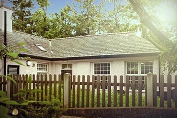 Larch, Highfield Park