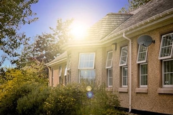 Holly, Highfield Park