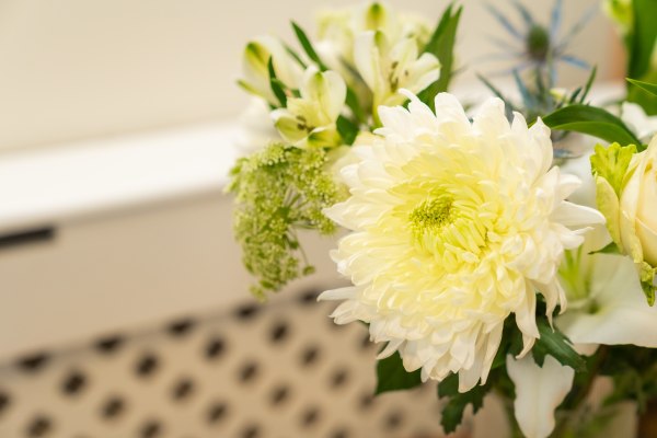 Don Thomson House Residential Care Home CO12 3TS