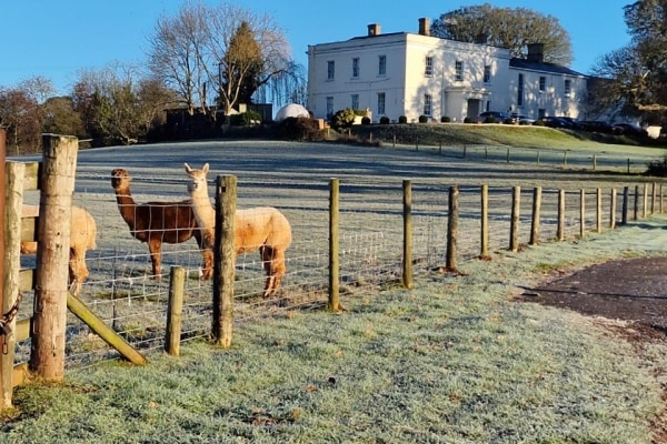 Hay House, Broadclyst