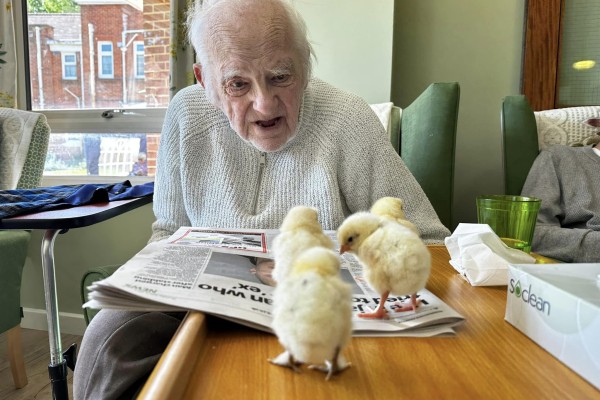 Maryfield Care Home RG27 9LA