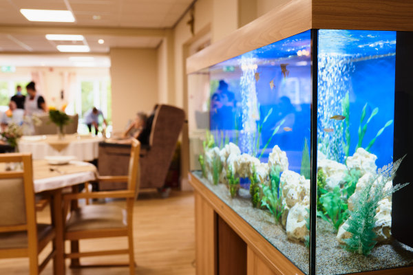 Oaklands Nursing Home, Burnley, Lancashire