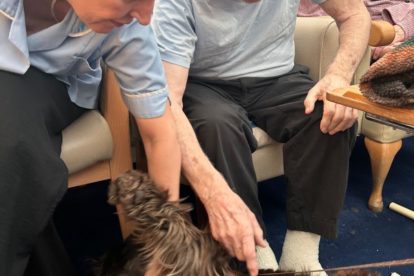 Avalon Nursing and Dementia Home BN22 9PR