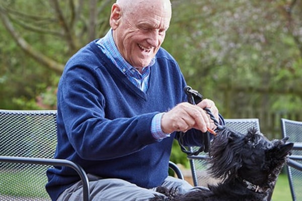 Camphill Care Home, Ballymena, County Antrim