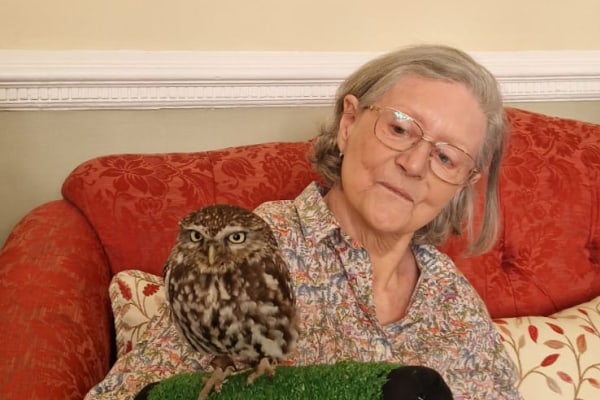 Huntington House GU26 6BG