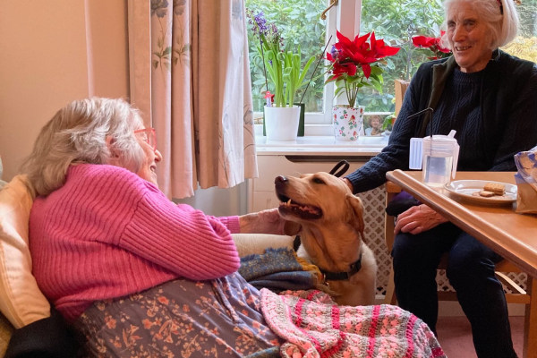 Moorhouse Care Home GU26 6RA