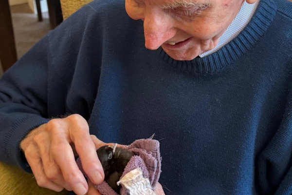 High Broom Care Home TN6 3SL