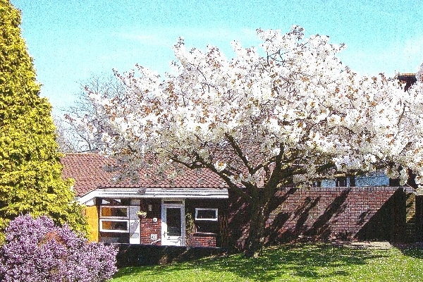 St Peter's Park Retirement Village TN40 2HF