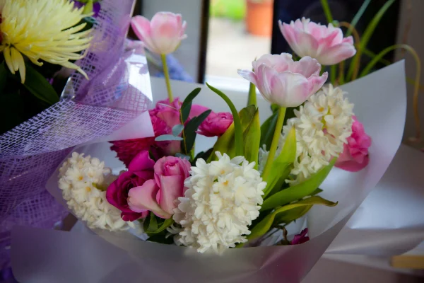 Ashton Park Care Home, Newport