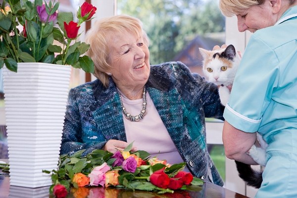 Hill Brow Residential Care Home, Farnham, Hampshire