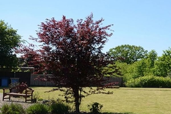 Yew Tree Nursing Home, Halesowen, Worcestershire