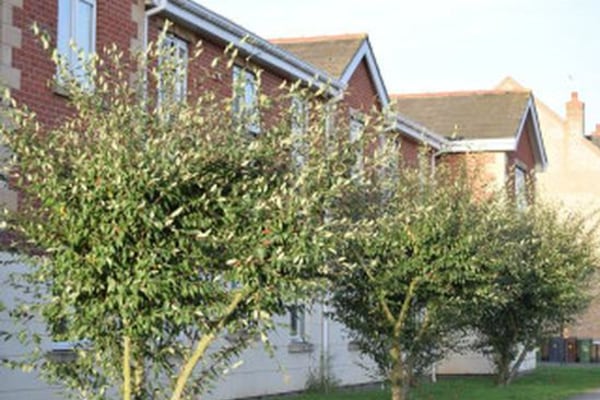 Bunkers Hill Care Home, Ross Close